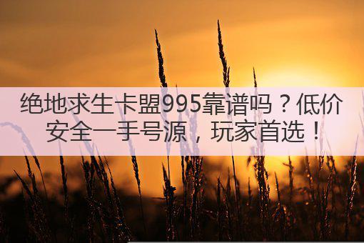 绝地求生卡盟995靠谱吗?低价安全一手号源,玩家首选!