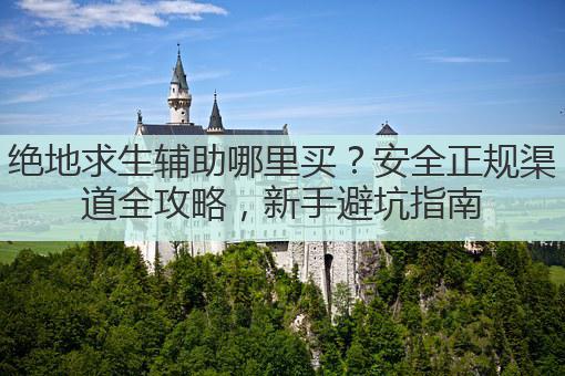绝地求生辅助哪里买?安全正规渠道全攻略,新手避坑指南