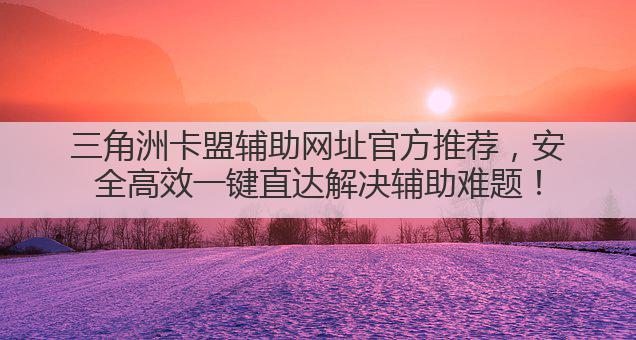 三角洲卡盟辅助网址官方推荐,安全高效一键直达解决辅助难题!
