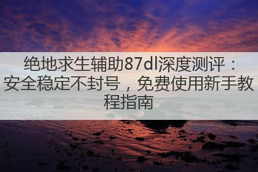 绝地求生辅助87dl深度测评:安全稳定不封号,免费使用新手教程指南