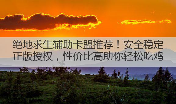绝地求生辅助卡盟推荐!安全稳定正版授权,性价比高助你轻松吃鸡