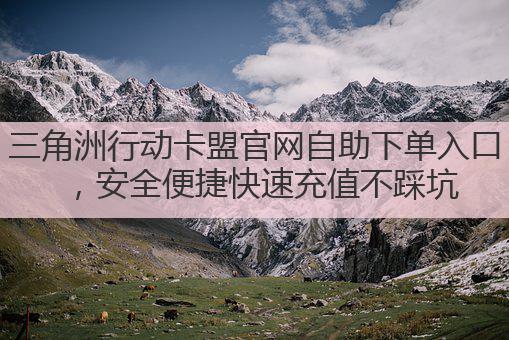 三角洲行动卡盟官网自助下单入口,安全便捷快速充值不踩坑