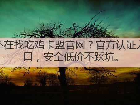 还在找吃鸡卡盟官网?官方认证入口,安全低价不踩坑。