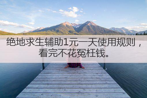 绝地求生辅助1元一天使用规则,看完不花冤枉钱。