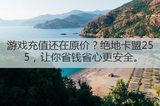 游戏充值还在原价?绝地卡盟255,让你省钱省心更安全。