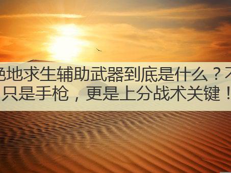 绝地求生辅助武器到底是什么?不只是手枪,更是上分战术关键!