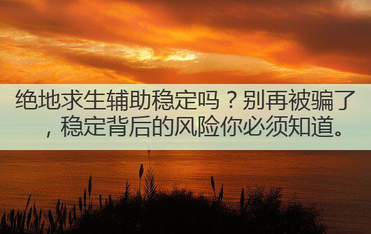 绝地求生辅助稳定吗?别再被骗了,稳定背后的风险你必须知道。