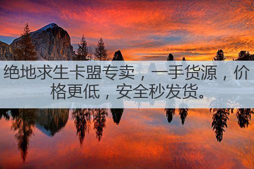 绝地求生卡盟专卖,一手货源,价格更低,安全秒发货。