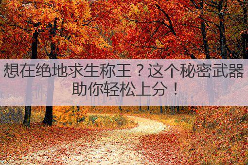 想在绝地求生称王?这个秘密武器助你轻松上分!
