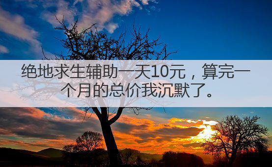 绝地求生辅助一天10元,算完一个月的总价我沉默了。