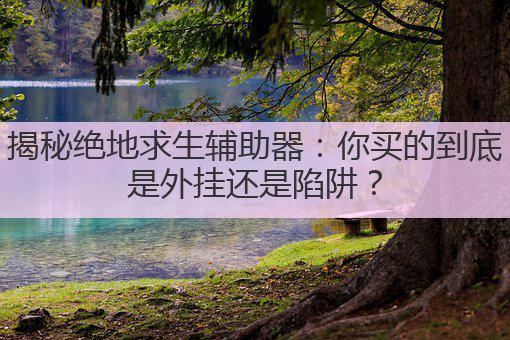 揭秘绝地求生辅助器:你买的到底是外挂还是陷阱?