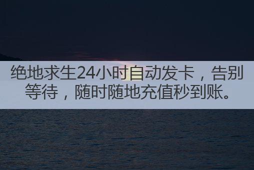 绝地求生24小时自动发卡,告别等待,随时随地充值秒到账。