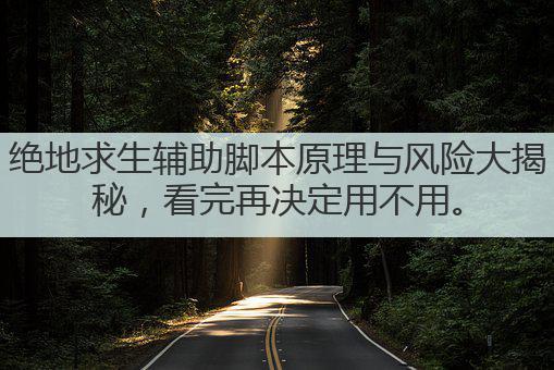 绝地求生辅助脚本原理与风险大揭秘,看完再决定用不用。