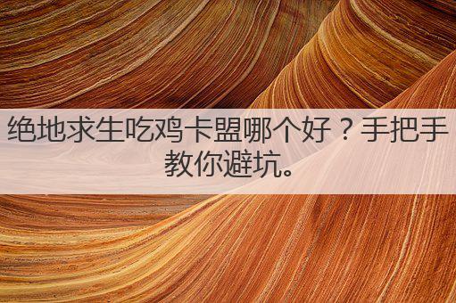 绝地求生吃鸡卡盟哪个好?手把手教你避坑。