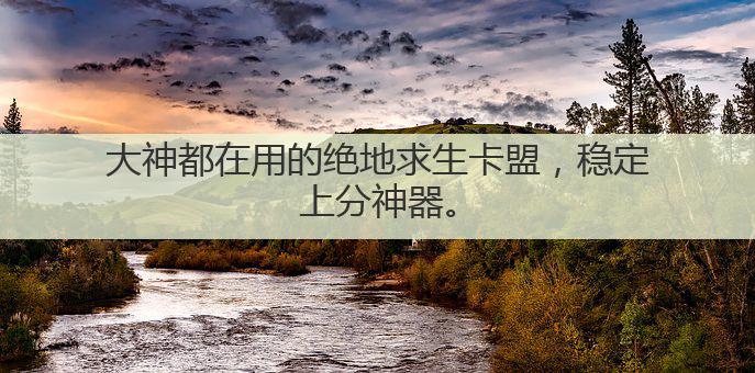 大神都在用的绝地求生卡盟,稳定上分神器。