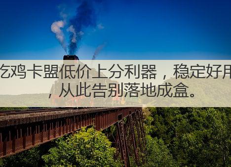 吃鸡卡盟低价上分利器,稳定好用,从此告别落地成盒。