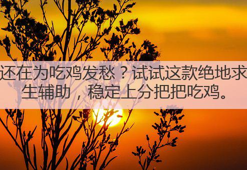 还在为吃鸡发愁?试试这款绝地求生辅助,稳定上分把把吃鸡。