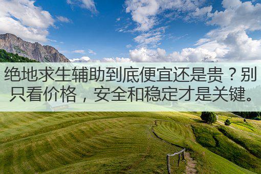 绝地求生辅助到底便宜还是贵?别只看价格,安全和稳定才是关键。