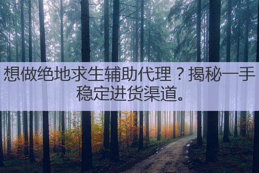 想做绝地求生辅助代理?揭秘一手稳定进货渠道。
