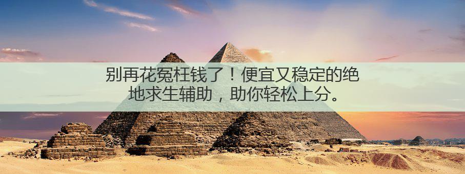 别再花冤枉钱了!便宜又稳定的绝地求生辅助,助你轻松上分。