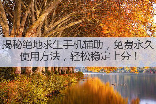 揭秘绝地求生手机辅助,免费永久使用方法,轻松稳定上分!