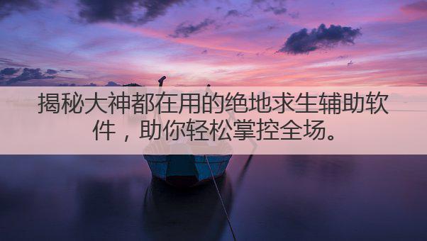 揭秘大神都在用的绝地求生辅助软件,助你轻松掌控全场。