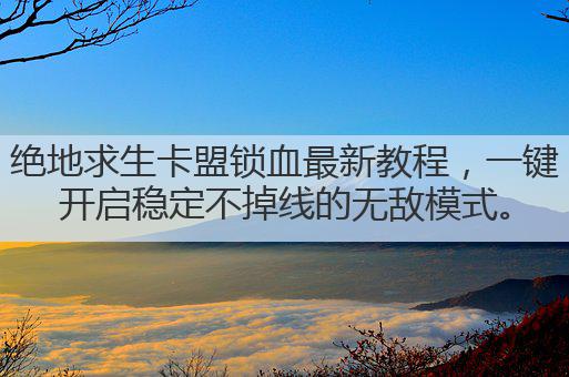 绝地求生卡盟锁血最新教程,一键开启稳定不掉线的无敌模式。