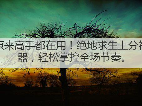 原来高手都在用!绝地求生上分神器,轻松掌控全场节奏。