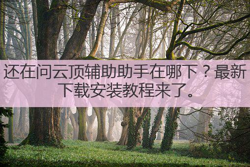 还在问云顶辅助助手在哪下?最新下载安装教程来了。