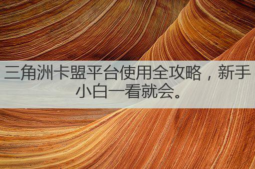 三角洲卡盟平台使用全攻略,新手小白一看就会。