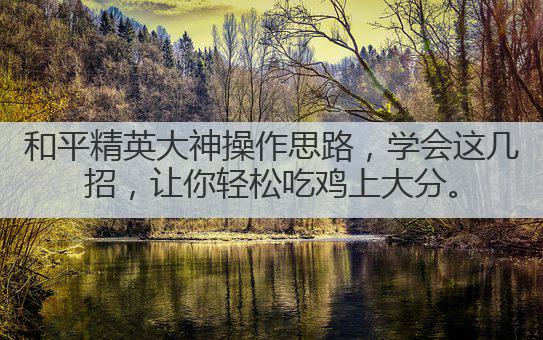 和平精英大神操作思路,学会这几招,让你轻松吃鸡上大分。