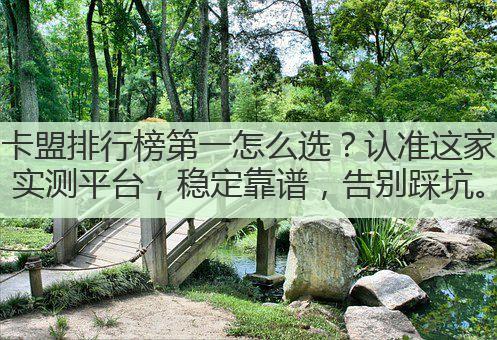 卡盟排行榜第一怎么选?认准这家实测平台,稳定靠谱,告别踩坑。