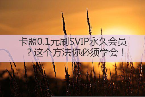 卡盟0.1元刷SVIP永久会员?这个方法你必须学会!