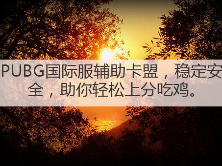PUBG国际服辅助卡盟,稳定安全,助你轻松上分吃鸡。