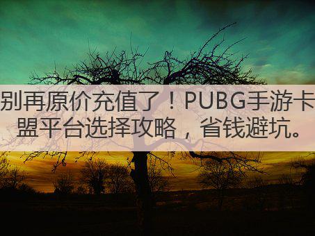 别再原价充值了!PUBG手游卡盟平台选择攻略,省钱避坑。