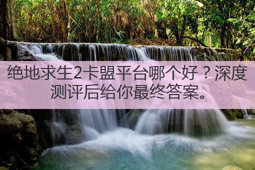 绝地求生2卡盟平台哪个好?深度测评后给你最终答案。