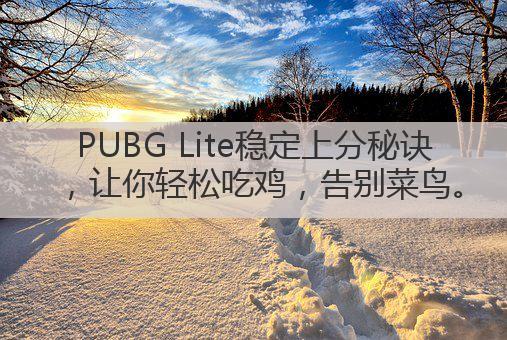 PUBG Lite稳定上分秘诀,让你轻松吃鸡,告别菜鸟。