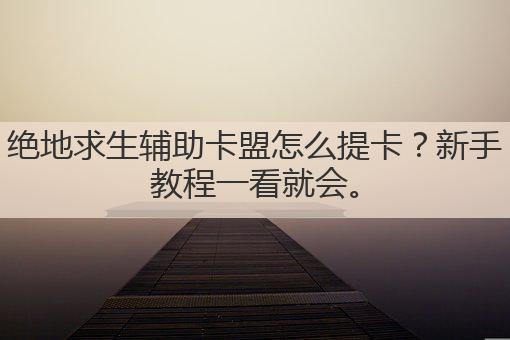 绝地求生辅助卡盟怎么提卡?新手教程一看就会。