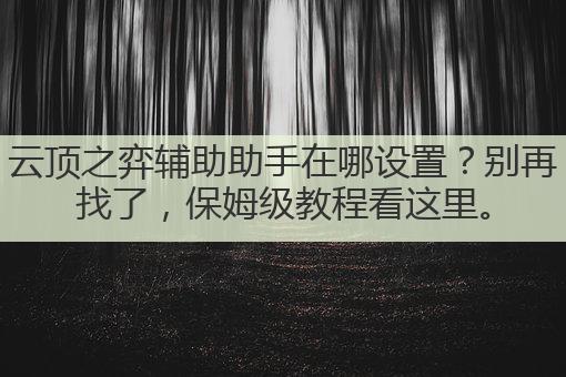 云顶之弈辅助助手在哪设置?别再找了,保姆级教程看这里。