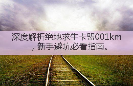深度解析绝地求生卡盟001km，新手避坑必看指南。