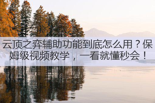 云顶之弈辅助功能到底怎么用？保姆级视频教学，一看就懂秒会！