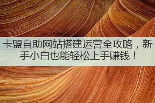 卡盟自助网站搭建运营全攻略，新手小白也能轻松上手赚钱！