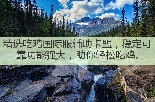 精选吃鸡国际服辅助卡盟，稳定可靠功能强大，助你轻松吃鸡。