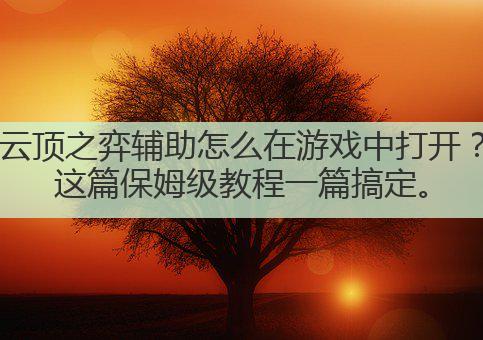 云顶之弈辅助怎么在游戏中打开？这篇保姆级教程一篇搞定。