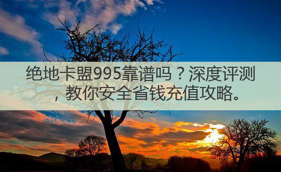 绝地卡盟995靠谱吗？深度评测，教你安全省钱充值攻略。