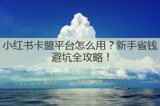 小红书卡盟平台怎么用？新手省钱避坑全攻略！