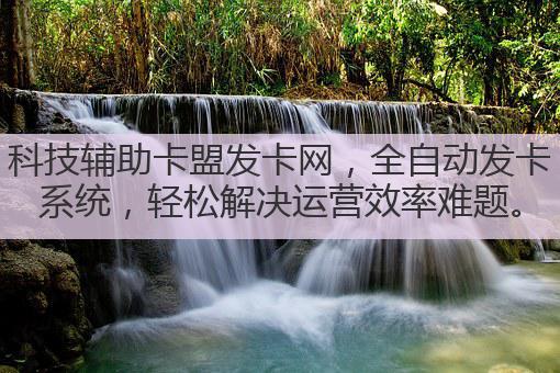 科技辅助卡盟发卡网，全自动发卡系统，轻松解决运营效率难题。