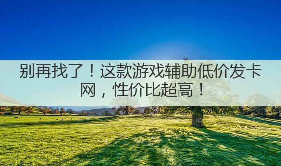 别再找了！这款游戏辅助低价发卡网，性价比超高！