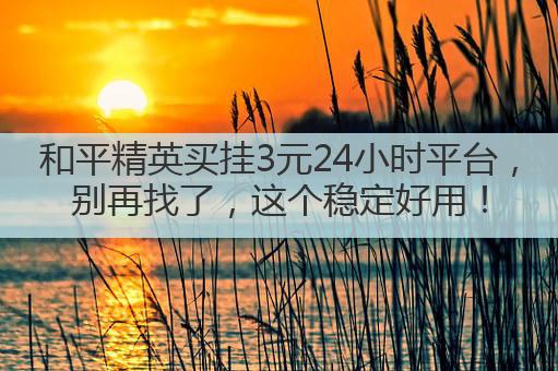 和平精英买挂3元24小时平台,别再找了,这个稳定好用!