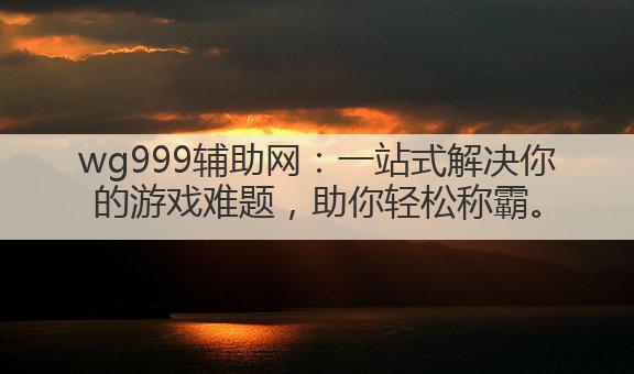 wg999辅助网：一站式解决你的游戏难题，助你轻松称霸。